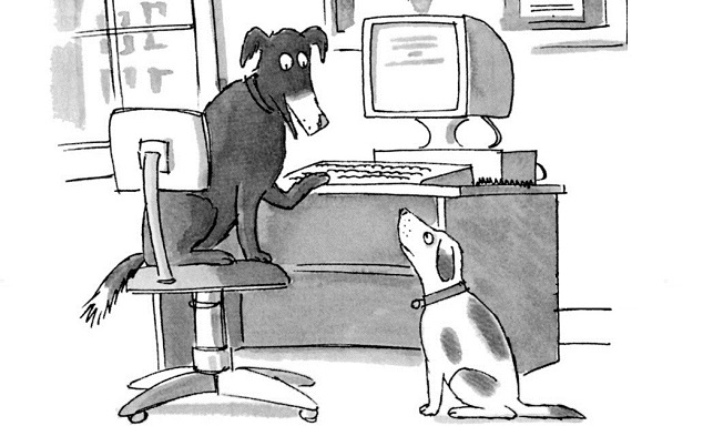 توی اینترنت، هیچ کس نمی‌فهمد که تو سگ هستی